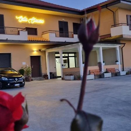 B&B Villa Eleonora Tropea Le Pioppe Zewnętrze zdjęcie