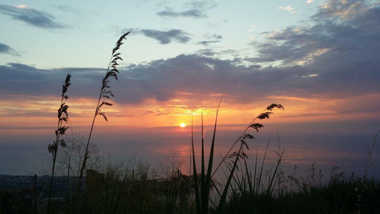 B&B Villa Eleonora Tropea Le Pioppe Zewnętrze zdjęcie